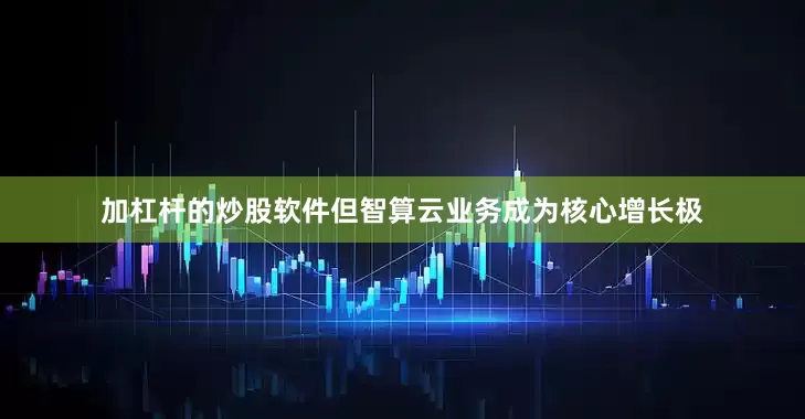 加杠杆的炒股软件但智算云业务成为核心增长极