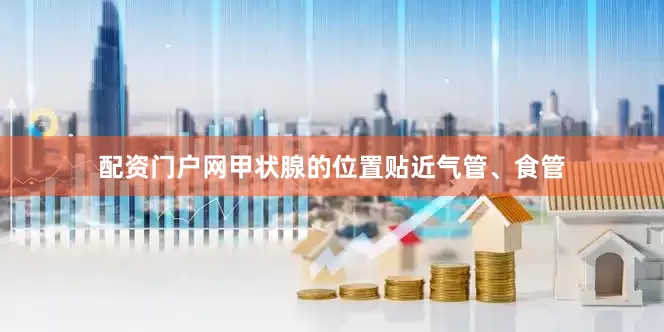 配资门户网甲状腺的位置贴近气管、食管
