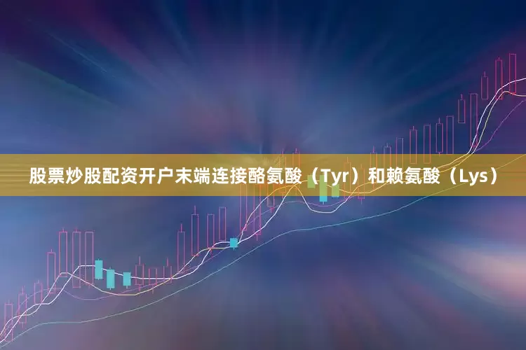 股票炒股配资开户末端连接酪氨酸（Tyr）和赖氨酸（Lys）