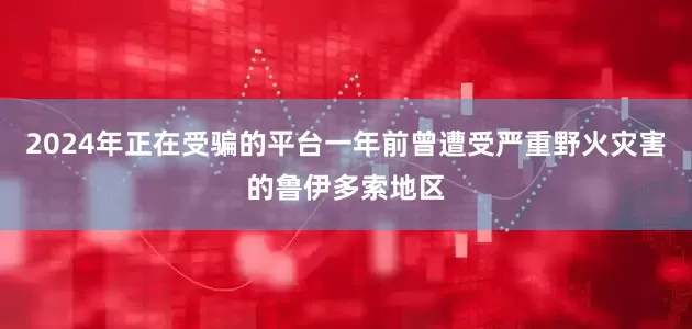 2024年正在受骗的平台一年前曾遭受严重野火灾害的鲁伊多索地区